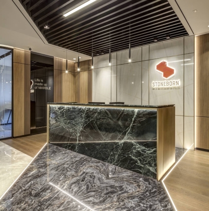Stoneborn Ofis Projesi
